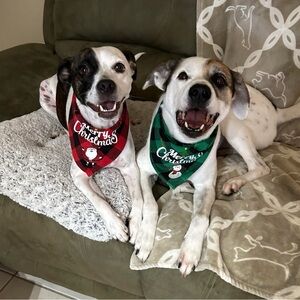 Meet your Posher, Fernando